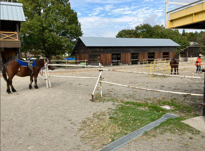 ひるがのホープロッジ（高原木曽馬牧場）で乗馬体験